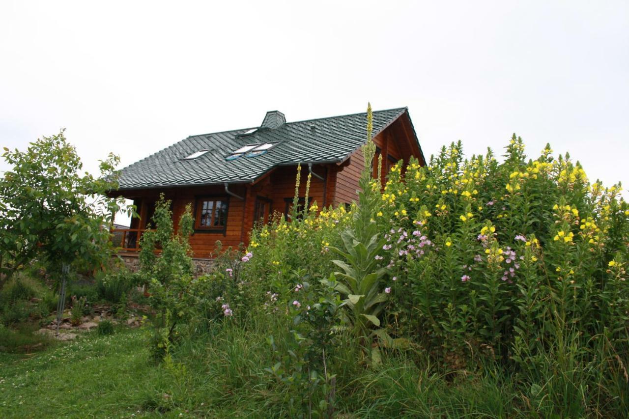 Ferienzimmer Koenig Breitenbrunn  Zewnętrze zdjęcie